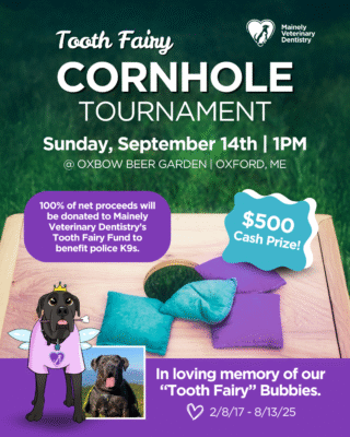 Cornhole SM Post