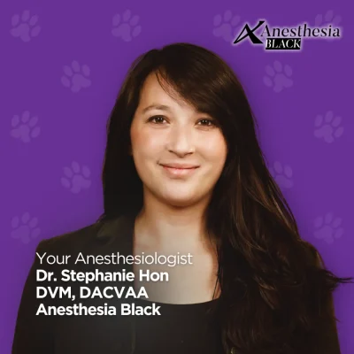 Dr. Stephanie Hon